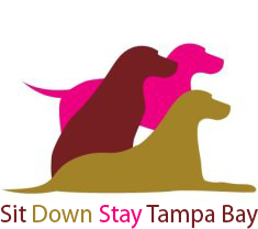 Sit Down Stay Tampa Bay
